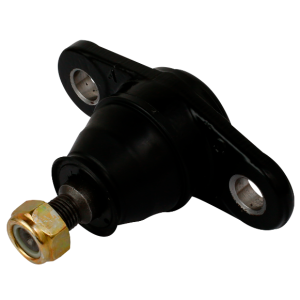 Rotula Inferior Izquierda-derecha