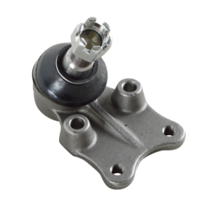 Rotula Inferior Izquierda-derecha